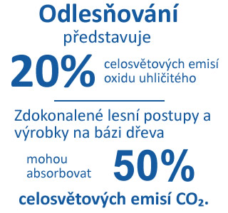 Lesy pohlcují oxid uhličitý - info