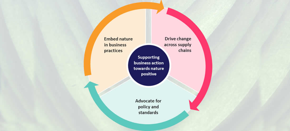 GHG Management - World Business Council for Sustainable Development (WBCSD)