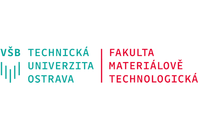 logo-fbt-vsm_transparent